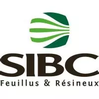 Logo SIBC (JURAWOOD)